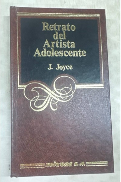 Retrato Del Artista Adolescente